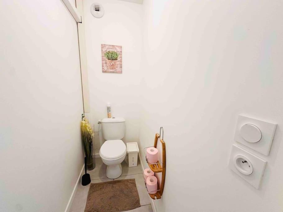 La Roseraie Toulousaine Avec Parking Prive Apartment Toulouse