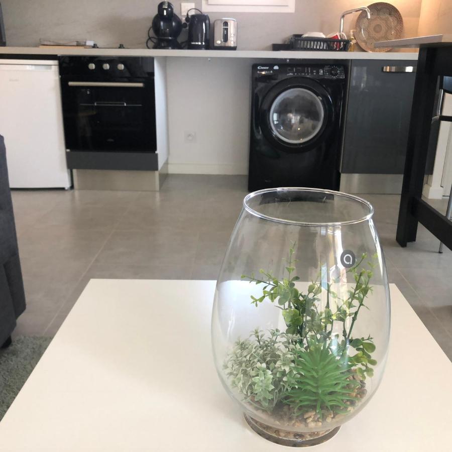 Appartement La Roseraie Toulousaine Avec Parking Prive Toulouse